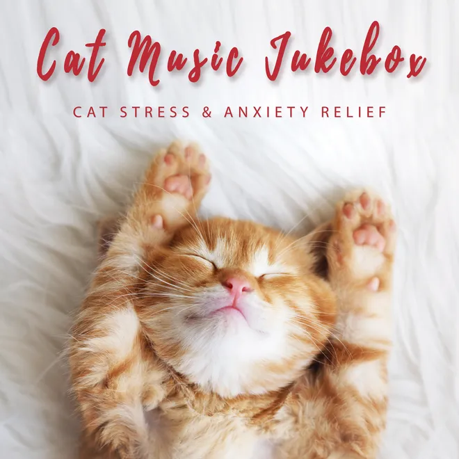 Cat Stress & Anxiety Relief